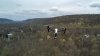DJI_0992.jpg