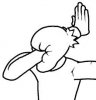 facepalm02.jpg