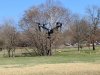 dji1.jpg