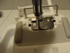 DSC05598.JPG