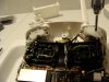 DSC05606.JPG