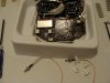 DSC05616.JPG