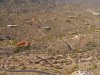 5 acres.jpg