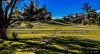 8F53F05E-A973-4B8F-9499-619E1A88F484.jpeg