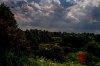 Watermarked8(2018-07-05-1737).jpg