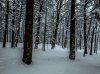 C5E2333E-1127-4D80-B42B-213114D3F3F7.jpeg
