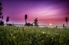0DD0DB32-69F9-44B4-AC0E-B5AB609403A7.jpeg
