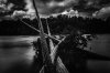 606A5C3A-452E-4CE8-BC7C-3C728414E8C7.jpeg