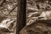 D897E1D4-27A8-4390-98BC-6784541A2DA8.jpeg