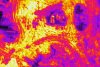 20621250_1641972079170580_8517253539301700484_n.jpg