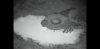 Screenshot_20190501-202451_YouTube.jpg