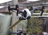 DJI_1.jpg