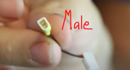 1627474265307.png