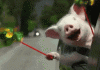 celebrating_pig.gif