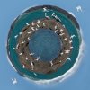 Tamarindo Beach Sphere.jpg