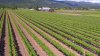 DJI_0019.JPG