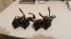 20160711_055254.jpg