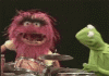 animal.gif