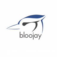 Bloojay Designs