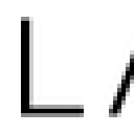 Lazzoni323