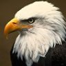 BaldEagle