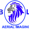 Blue Lion Aerial Imaging