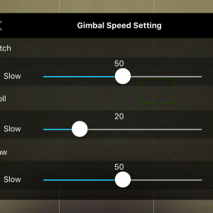 Gimbal Speed Settings
