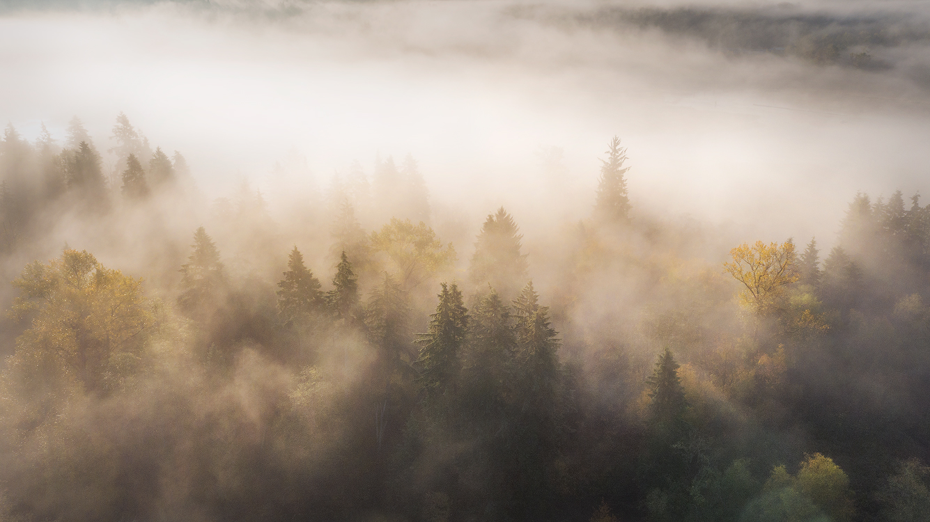 Above Burnaby Lake, British Columbia, canada